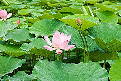 模仿《逃离塔科夫》 VR射击游戏《塔泊尔幽灵》开测